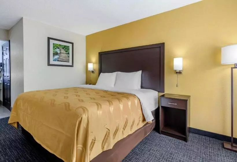 Standard-invahuone King-vuode, Quality Inn Verona  Staunton North