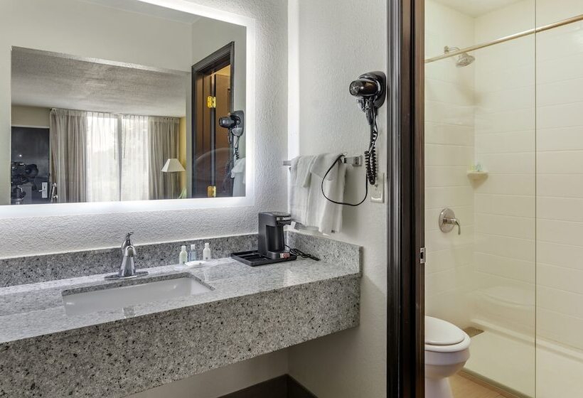 غرفه قياسيه سريرين مزدوجين, Quality Inn Verona  Staunton North