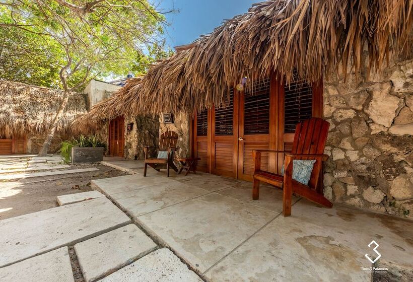 高级大房间, San Pedro De Majagua