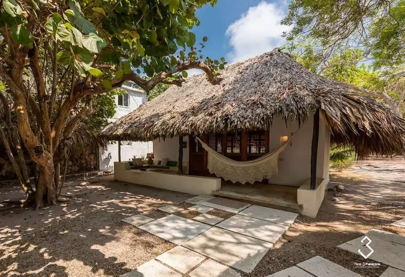 ジュニアスイート, San Pedro De Majagua