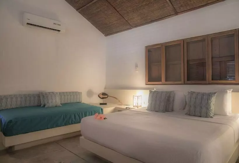 ジュニアスイート, San Pedro De Majagua