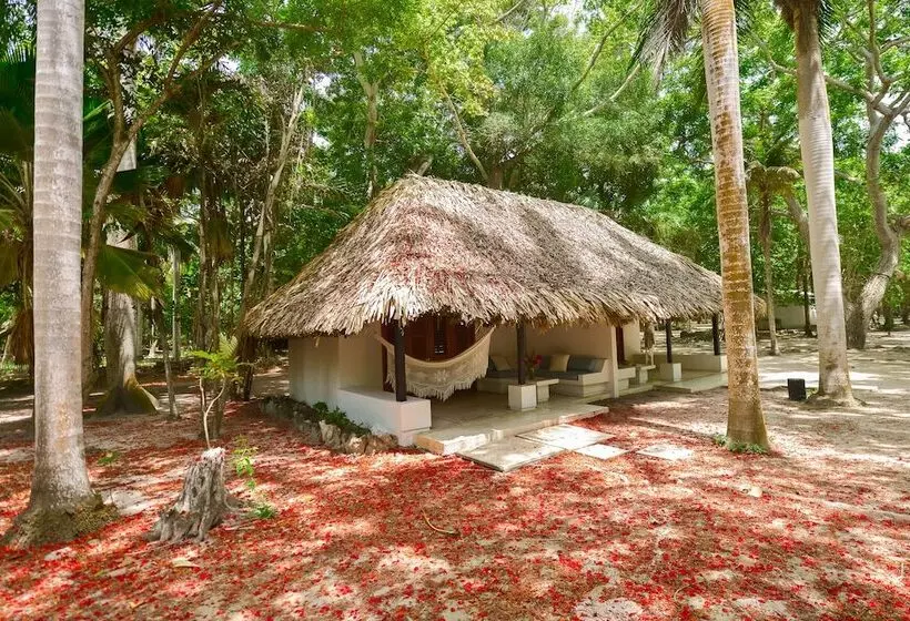 ジュニアスイート, San Pedro De Majagua