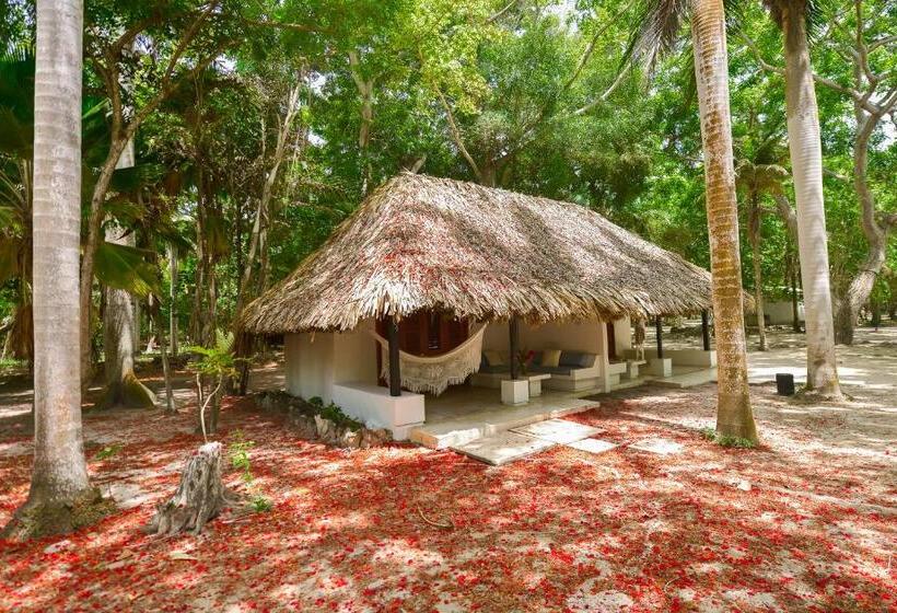 小型套房, San Pedro De Majagua