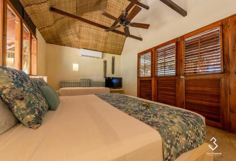 سوییت جونیور, San Pedro De Majagua