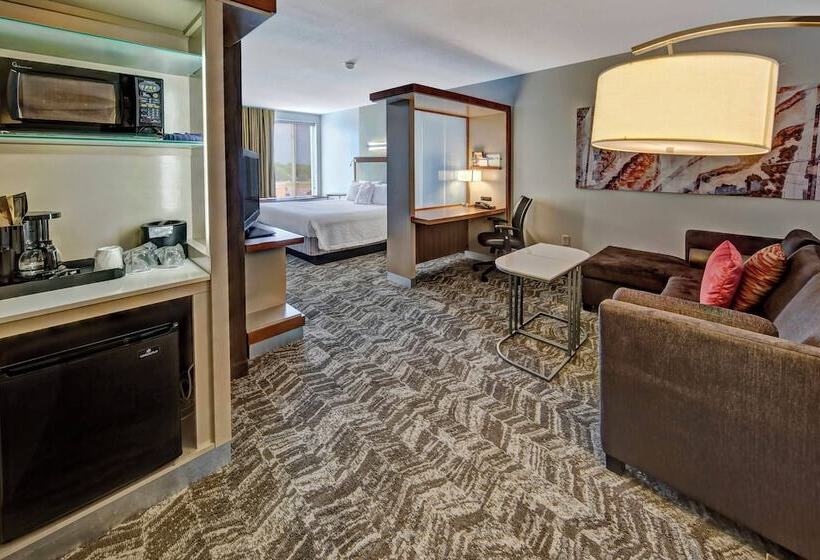 Студия Стандарт, Springhill Suites By Marriott Oklahoma City Moore