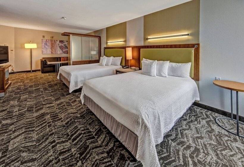 إستوديو قياسى, Springhill Suites By Marriott Oklahoma City Moore