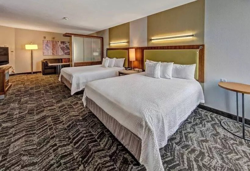 スタンダードスタジオ, Springhill Suites By Marriott Oklahoma City Moore