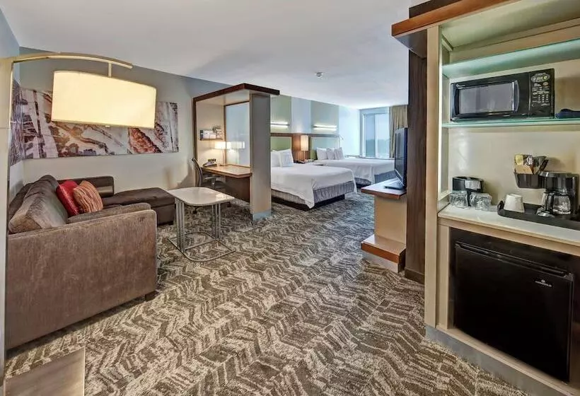 スタンダードスタジオ, Springhill Suites By Marriott Oklahoma City Moore