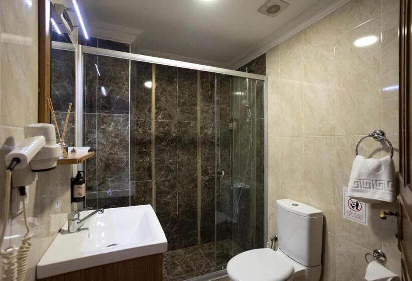 اتاق استاندارد سه نفره, Tashkonak Studio Suites