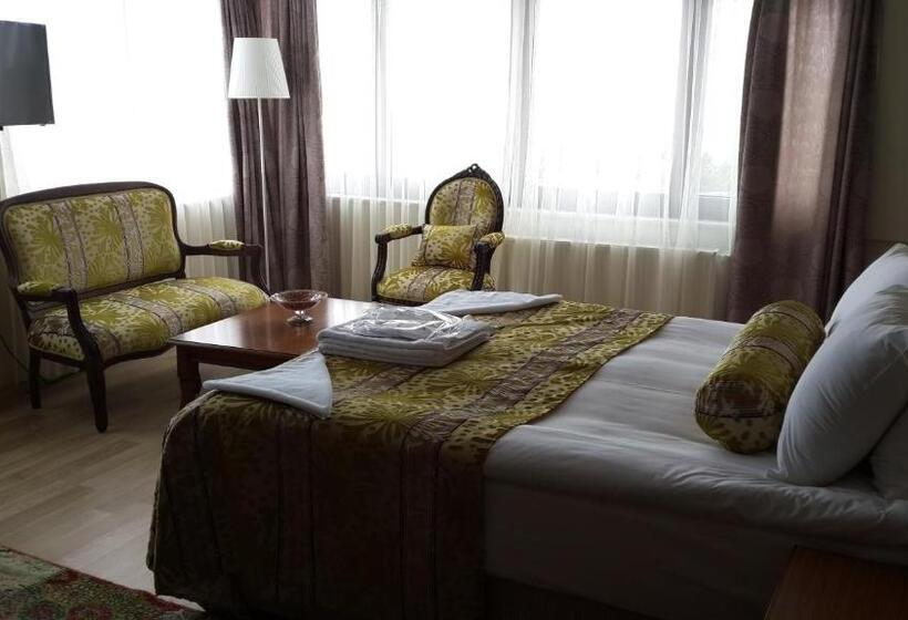 آپارتمان 1 خوابه با چشم‌انداز دریا, Tashkonak Studio Suites