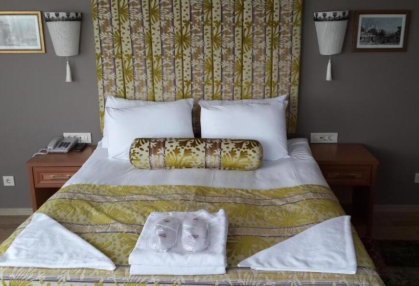 آپارتمان 1 خوابه با چشم‌انداز دریا, Tashkonak Studio Suites