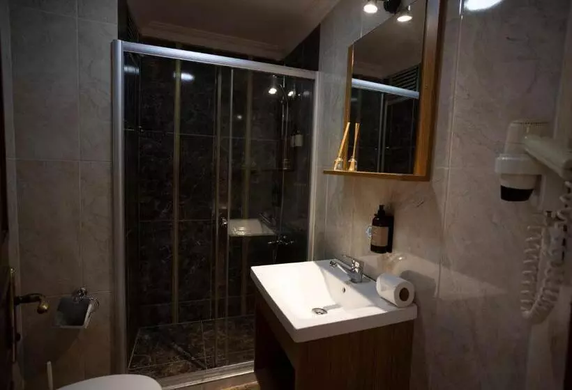 デラックスルーム, Tashkonak Studio Suites