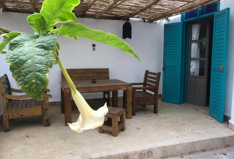 ファミリールーム, Vent Des Dunes