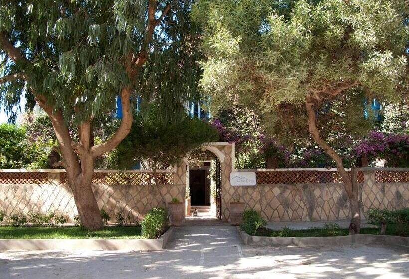 Номер Стандарт с Террасой, Vent Des Dunes