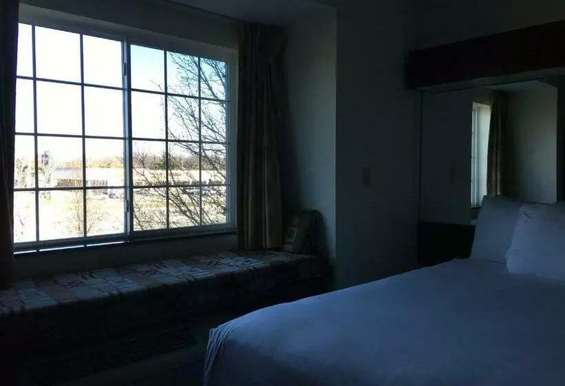 スタンダードルーム, Microtel Inn & Suites By Wyndham Indianapolis Airport