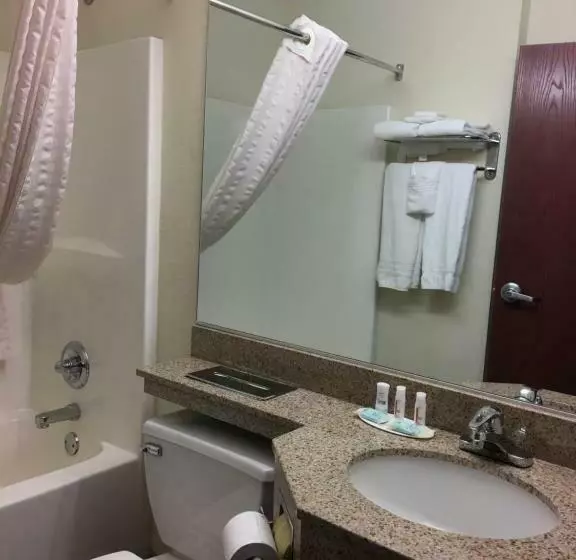 スタンダードルーム, Microtel Inn & Suites By Wyndham Indianapolis Airport