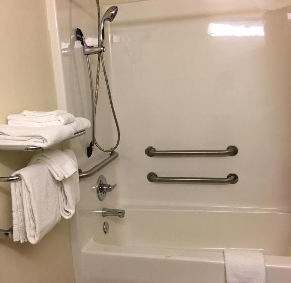 غرفة قياسية لذوى الاحتياجات الخاصة, Microtel Inn & Suites By Wyndham Indianapolis Airport