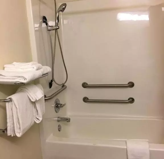 身障者適用スタンダードルーム, Microtel Inn & Suites By Wyndham Indianapolis Airport