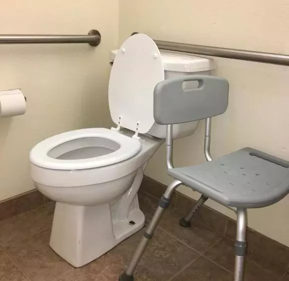 身障者適用スタンダードルーム, Microtel Inn & Suites By Wyndham Indianapolis Airport