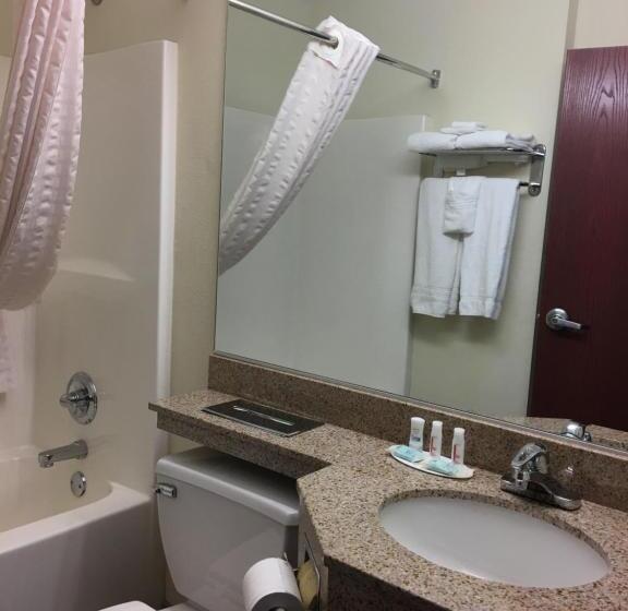 جناح, Microtel Inn & Suites By Wyndham Indianapolis Airport