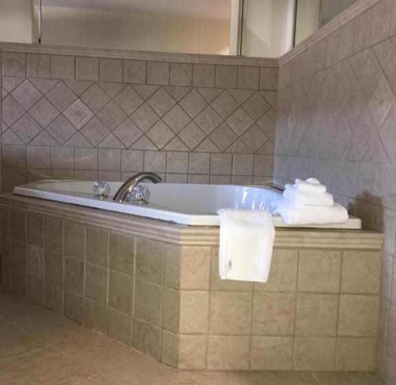 جناح ديلوكس, Microtel Inn & Suites By Wyndham Indianapolis Airport