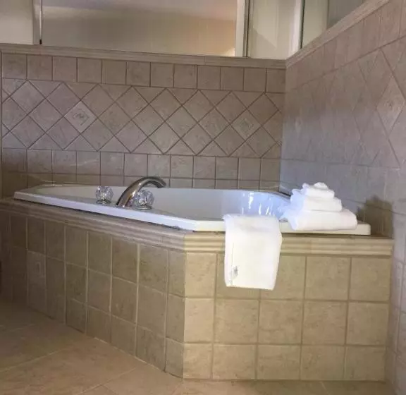デラックススイート, Microtel Inn & Suites By Wyndham Indianapolis Airport