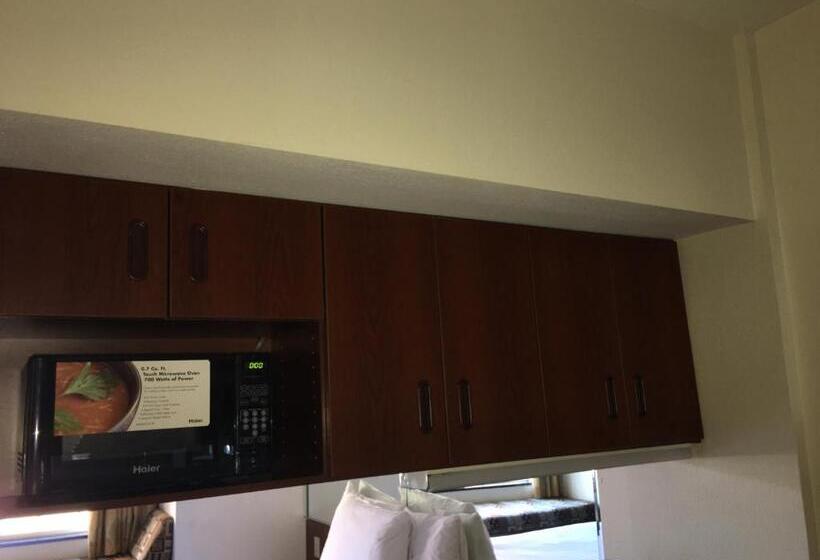 جناح ديلوكس, Microtel Inn & Suites By Wyndham Indianapolis Airport