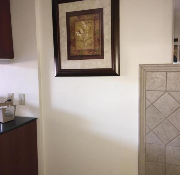 Suite Deluxe, Microtel Inn & Suites By Wyndham Indianapolis Airport