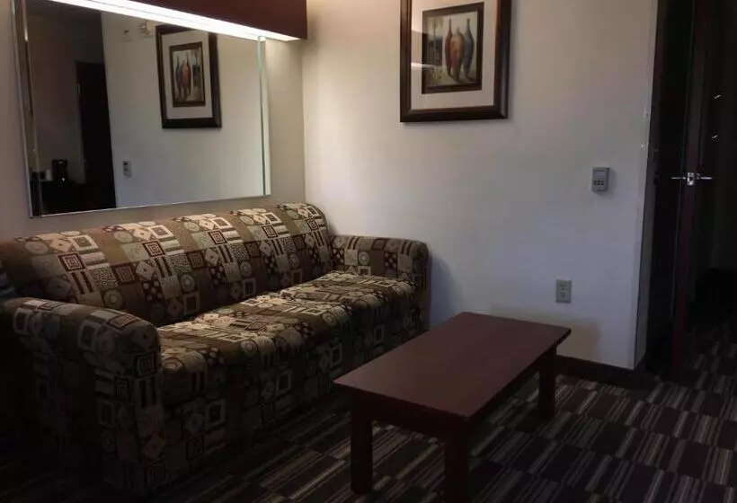 身障者適用スイートルーム, Microtel Inn & Suites By Wyndham Indianapolis Airport