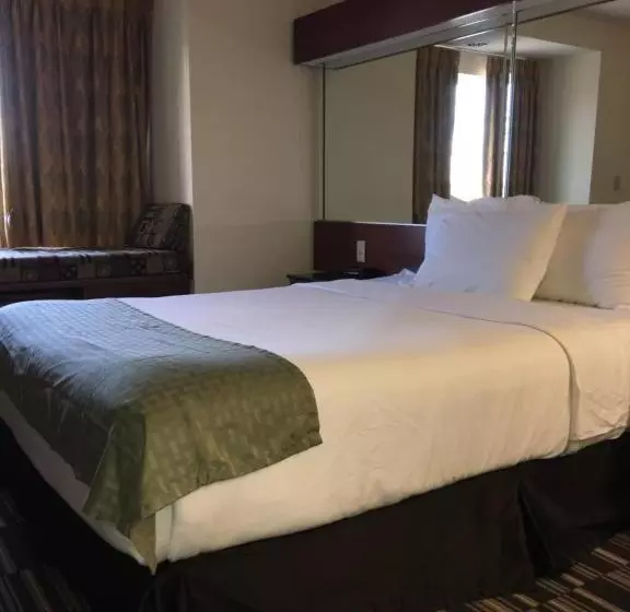 身障者適用スイートルーム, Microtel Inn & Suites By Wyndham Indianapolis Airport