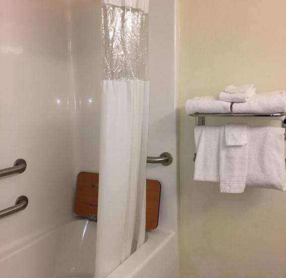 جناح لذوى الاحتياجات الخاصة, Microtel Inn & Suites By Wyndham Indianapolis Airport