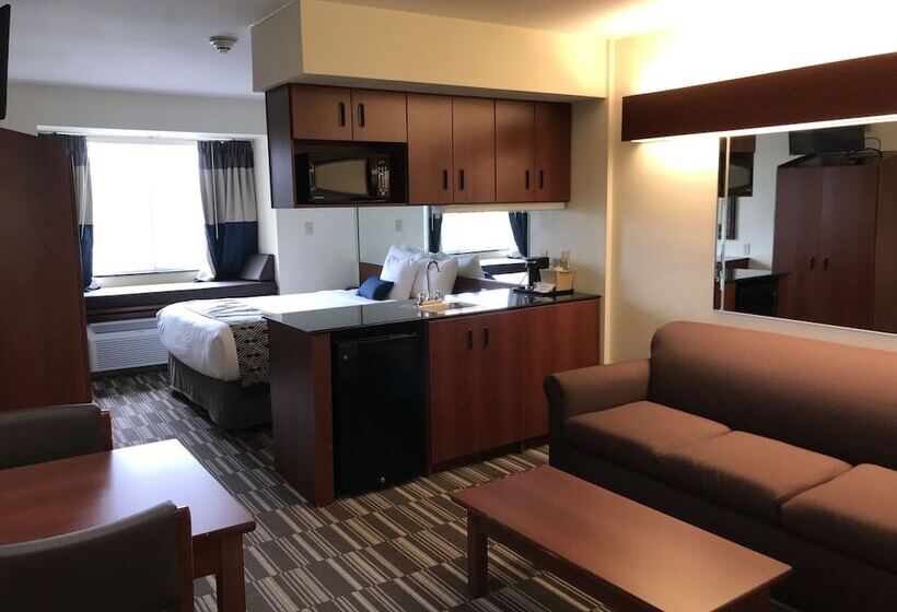 جناح, Microtel Inn & Suites By Wyndham Indianapolis Airport