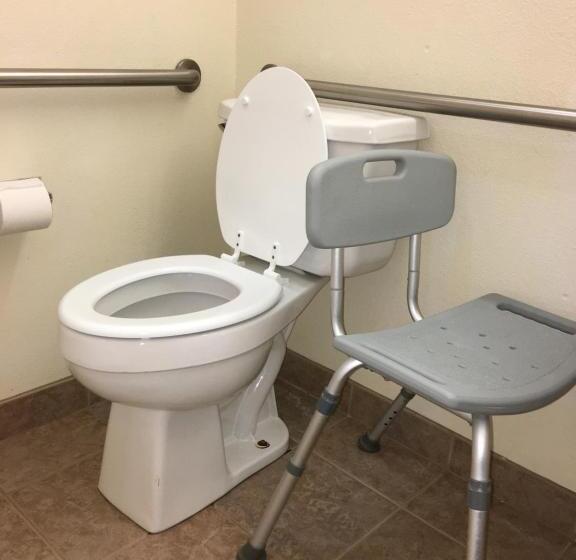 جناح لذوى الاحتياجات الخاصة, Microtel Inn & Suites By Wyndham Indianapolis Airport