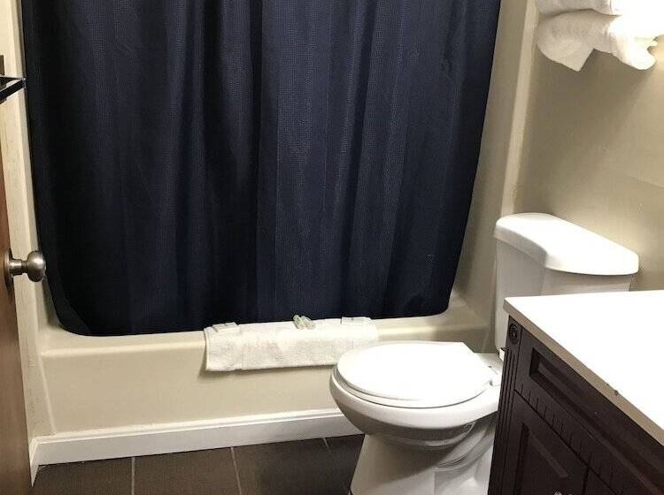 带2个双人床的标准工作室, White Birches Motel