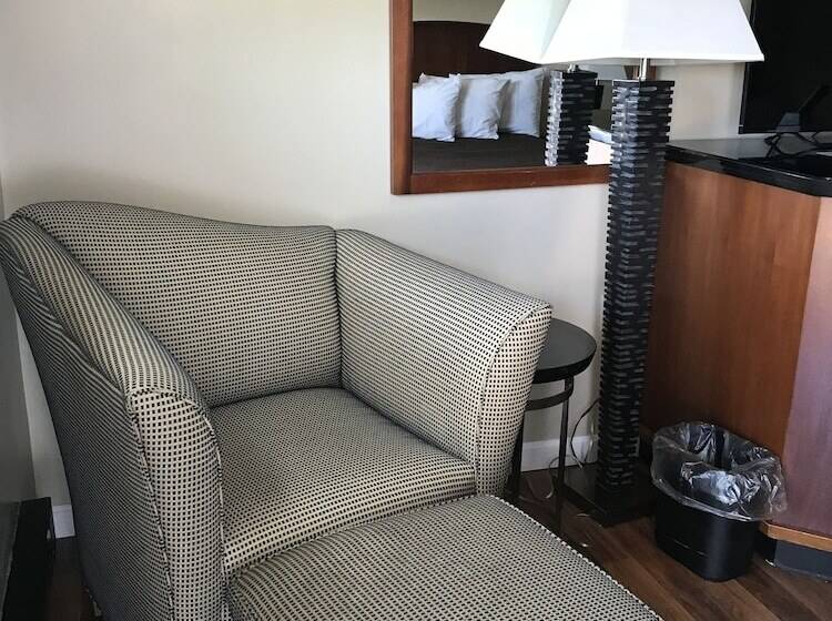 带2个双人床的标准工作室, White Birches Motel