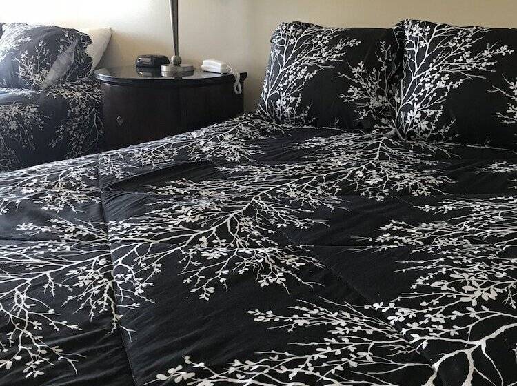 带2个双人床的标准工作室, White Birches Motel