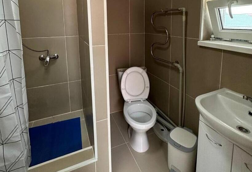 تختخواب در اتاق مشترک, Joy