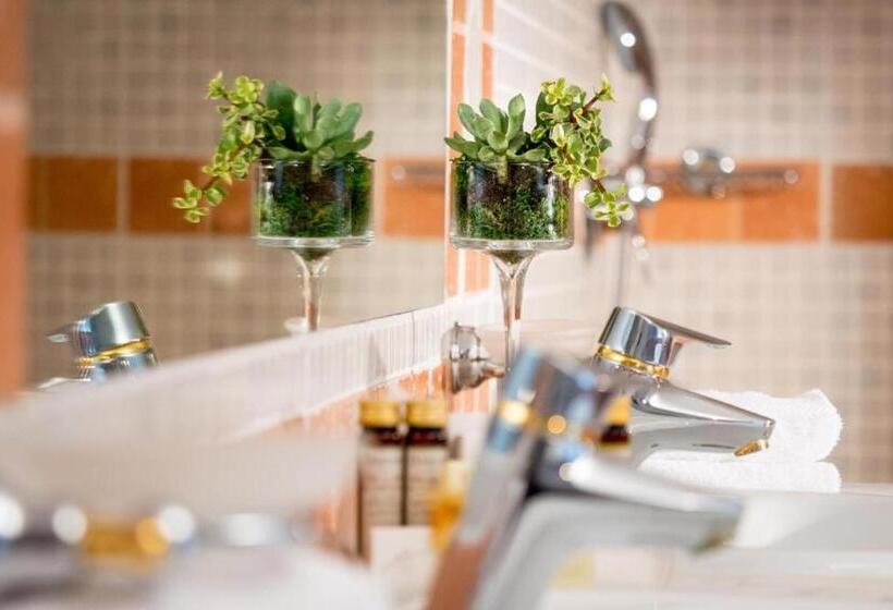 غرفة قياسية, Grand Hotel D Orange, Bw Signature Collection