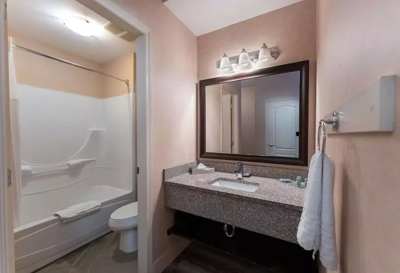 اتاق لوکس, Prestige Cranbrook Hotel, Bw Premier Collection