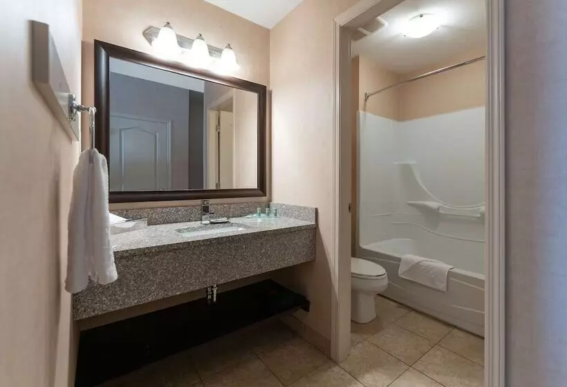 اتاق استاندارد, Prestige Cranbrook Hotel, Bw Premier Collection