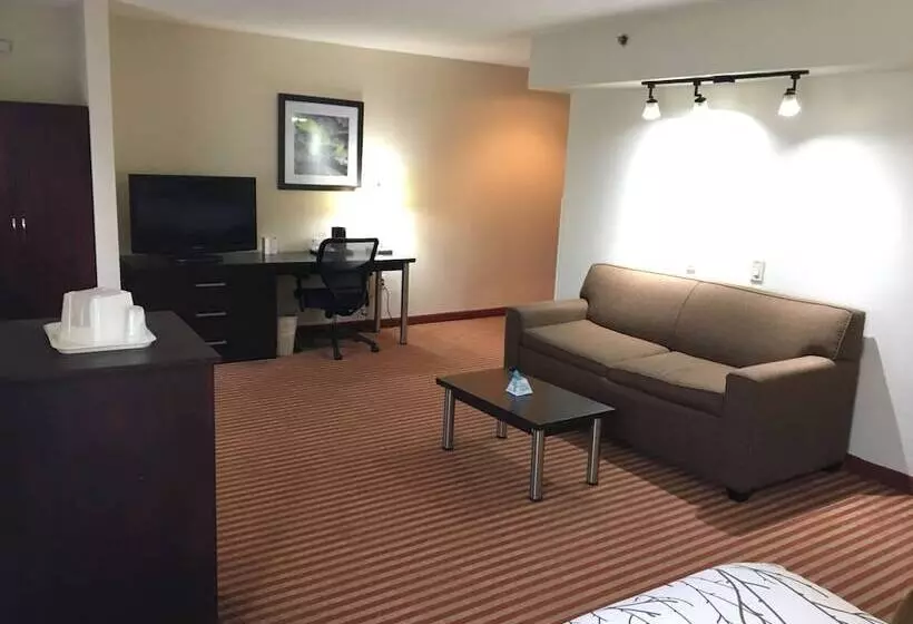 Standard-huone, Best Western Patriots Point