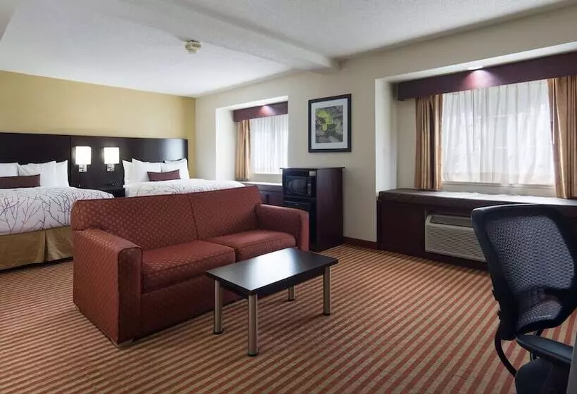 Standard-huone, Best Western Patriots Point