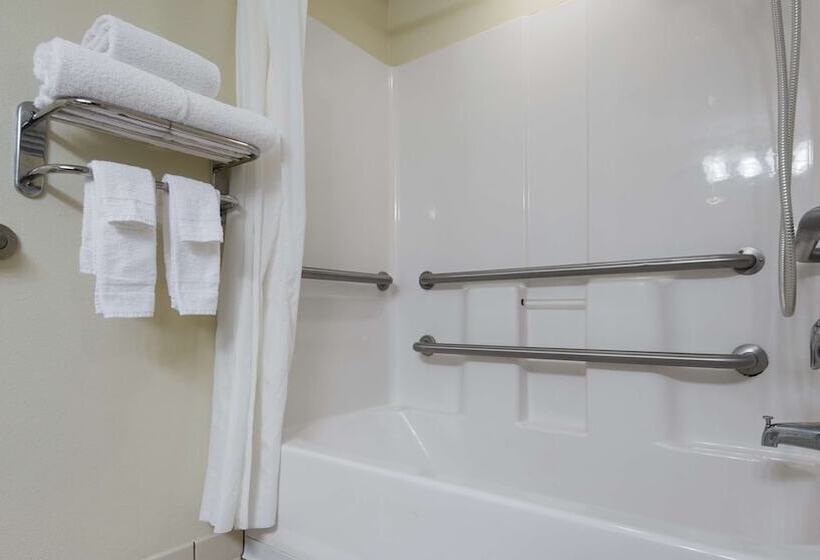 Номер Стандарт Адаптированный для Инвалидов, Best Western Patriots Point