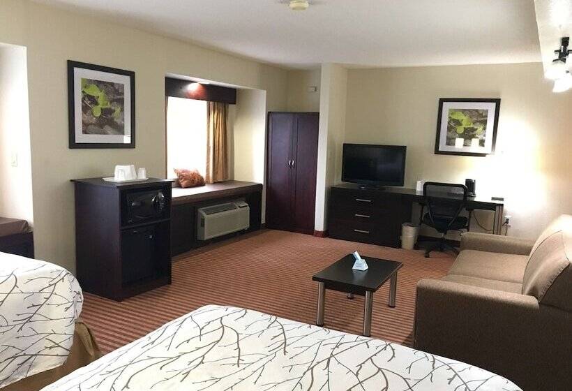 Номер Стандарт Адаптированный для Инвалидов, Best Western Patriots Point