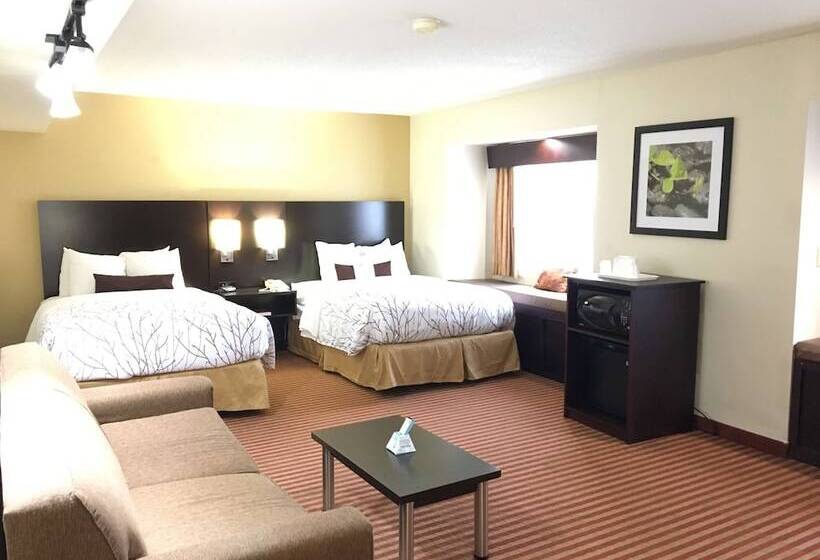 Номер Стандарт Адаптированный для Инвалидов, Best Western Patriots Point