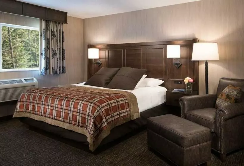 身障者適用キングサイズベッドルーム, Best Western Plus Flathead Lake Inn And Suites