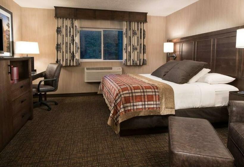 适合残疾人士使用的带超级大床的标准间, Best Western Plus Flathead Lake Inn And Suites