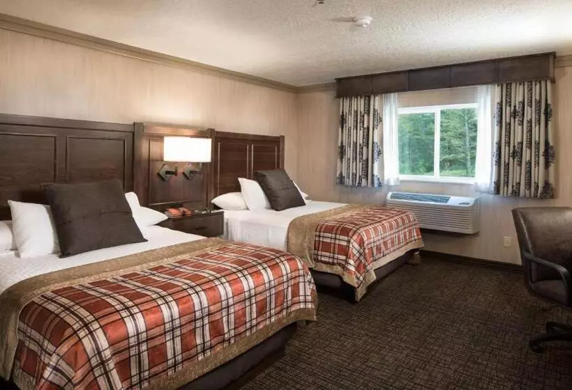 スタンダードルーム, Best Western Plus Flathead Lake Inn And Suites