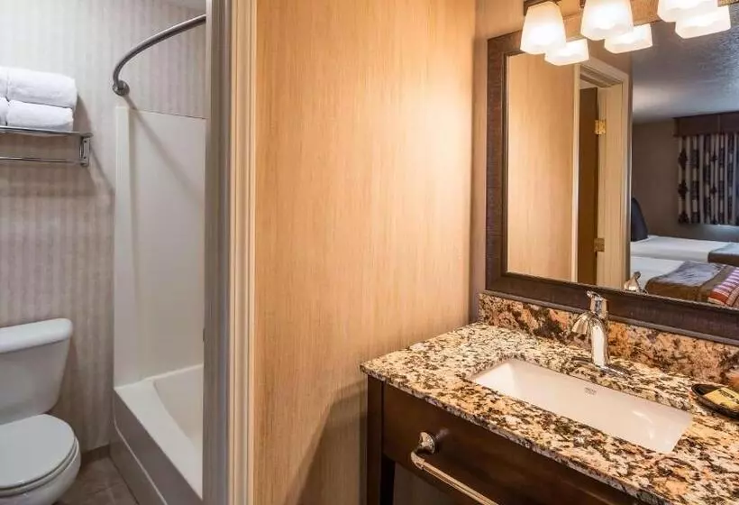 スタンダードルーム, Best Western Plus Flathead Lake Inn And Suites