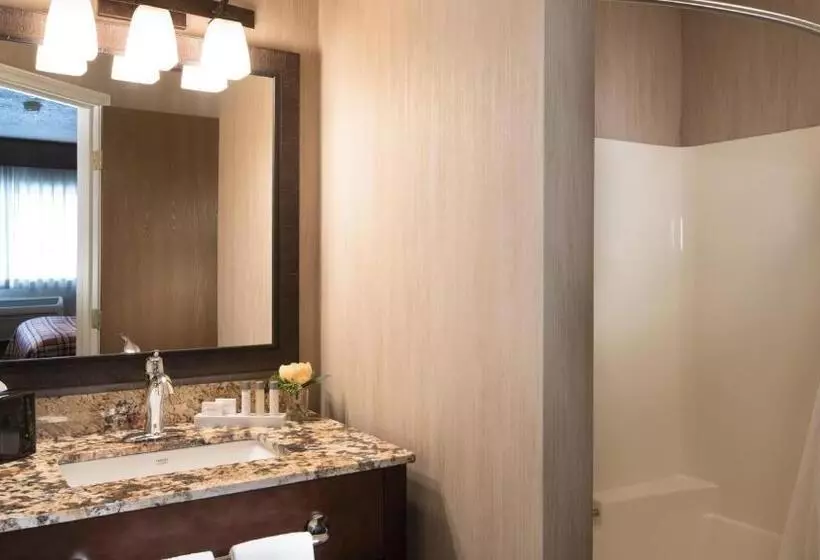 キングサイズベッドのエクゼクティブルーム, Best Western Plus Flathead Lake Inn And Suites